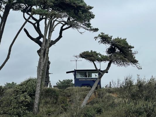 NCI Stone Point lookout from lower car park (photo: David Stride)