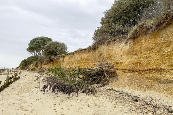 Cliff erosion due to strong easterly winds