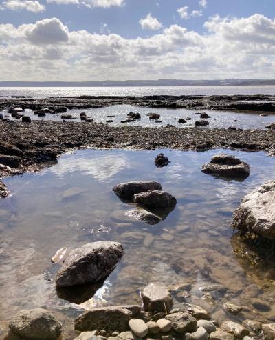 Filey Brigg - a long rocky reef