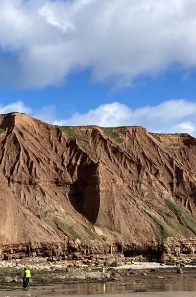 Carr Naze cliffs at Filey