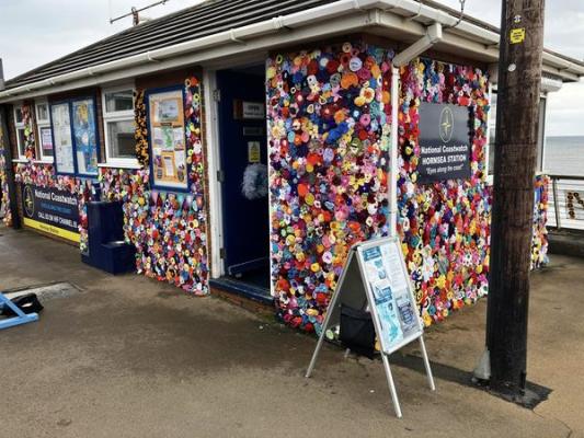Hornsea in bloom
