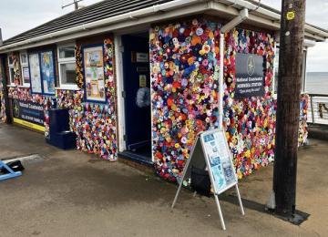 Hornsea in bloom